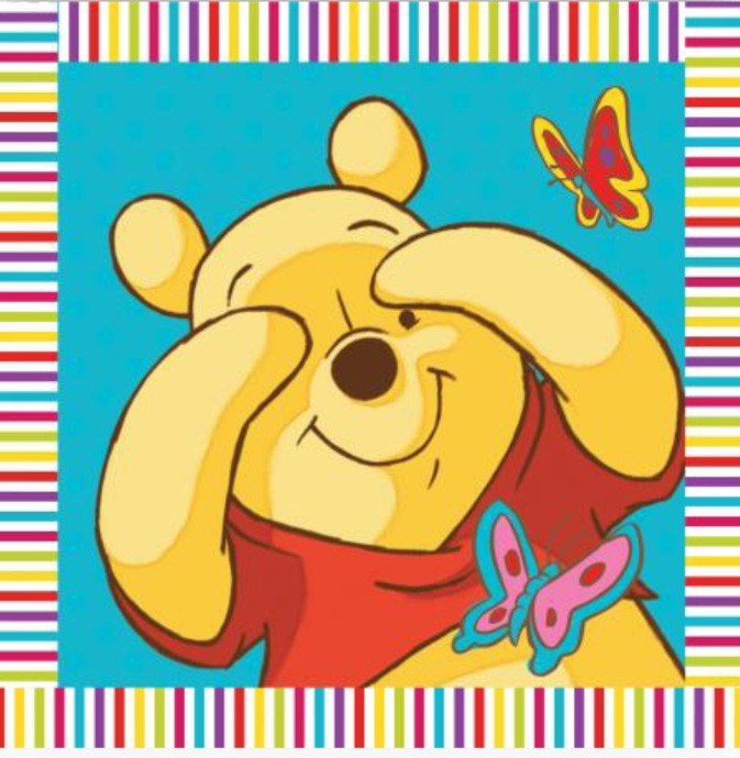 Λαβέτα Dimcol Disney Digital Print Winnie 01 30x30