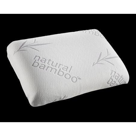 Μαξιλάρι Normal Guy Laroche Visco Elastic (Aloe Vera) 60x40x12