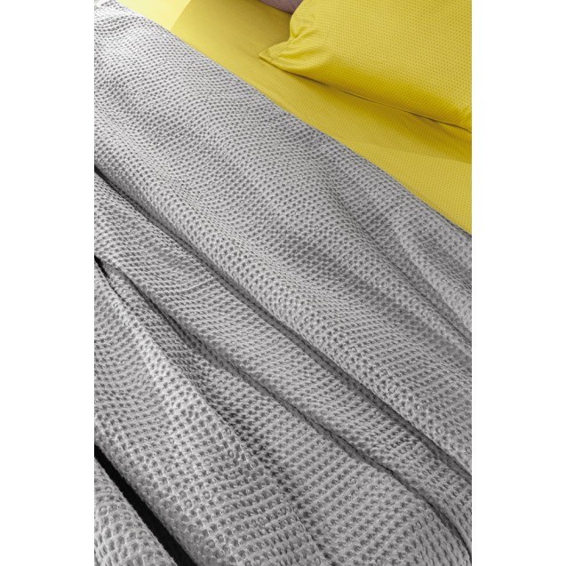 Κουβέρτα Μονή Guy Laroche Eternity Silver 160x240