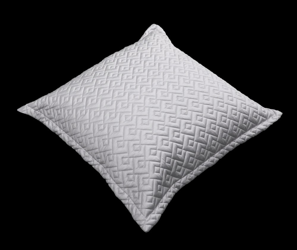 Μαξιλάρια διακοσμητικά Anesis Home - ΣΗΜΑΝΤΙΚΟ: Σε περίπτωση διαφοράς τιμής από το κατάστημα ισχύει παντα και μόνο η τιμή του καταστήματος Μαξιλαροθήκη Διακόσμησης Guy Laroche Conte Silver 60x60