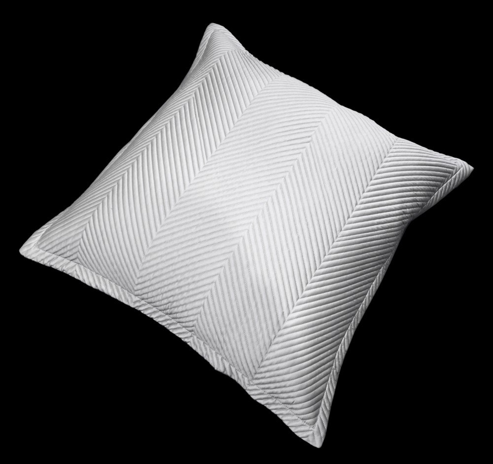 Μαξιλάρια διακοσμητικά Anesis Home - ΣΗΜΑΝΤΙΚΟ: Σε περίπτωση διαφοράς τιμής από το κατάστημα ισχύει παντα και μόνο η τιμή του καταστήματος Μαξιλαροθήκη Διακόσμησης Guy Laroche Venere Silver 60x6