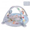 Γυμναστήριο Bebe Stars Bear 100-178