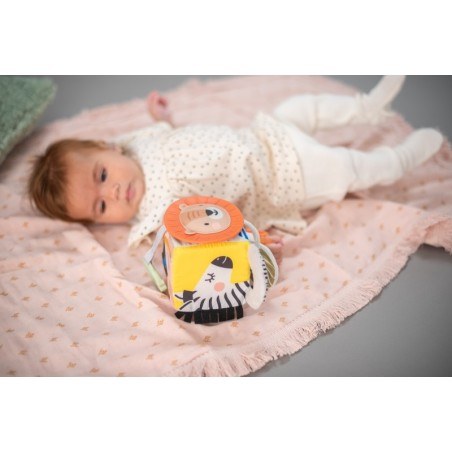 Παιχνίδι Δραστηριοτήτων Taf Toys Savannah Discovery Cube T-12755