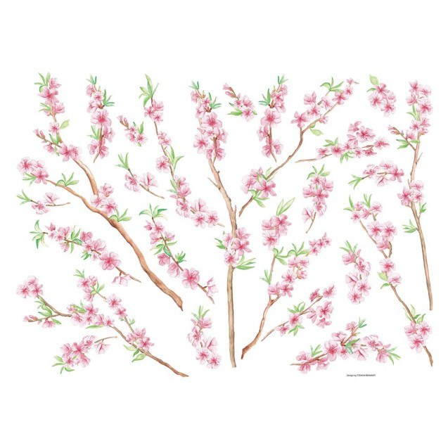 Αυτοκόλλητα Τοίχου Βινυλίου Ango Peach Branch...