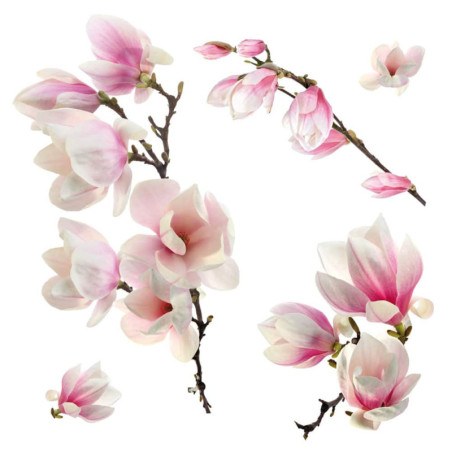 Αυτοκόλλητα Βινυλίου για Τζάμι Ango Magnolia 64006