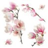 Αυτοκόλλητα Βινυλίου για Τζάμι Ango Magnolia 64006