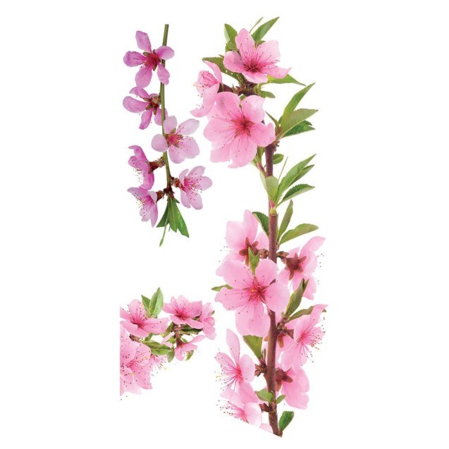 Αυτοκόλλητα Βινυλίου για Τζάμι Ango Peach...