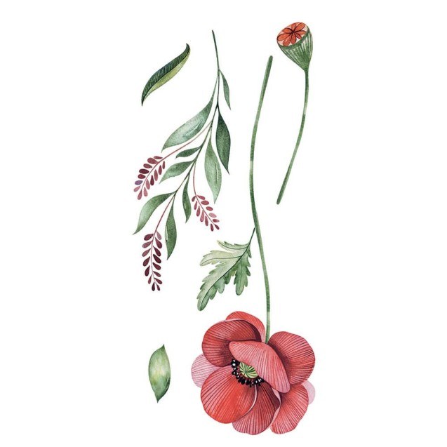 Αυτοκόλλητα Τοίχου Βινυλίου Ango Poppies 59180