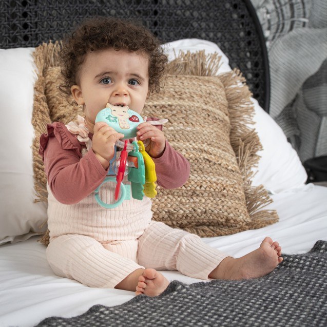 Ηλεκτρονική Κουδουνίστρα Sophie La Girafe S230851