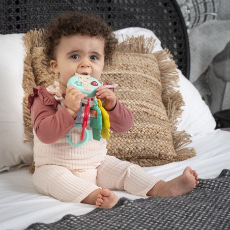 Ηλεκτρονική Κουδουνίστρα Sophie La Girafe S230851