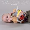 Κύβος Δραστηριοτήτων Taf Toys Urban Garden Activity Cube T-13095