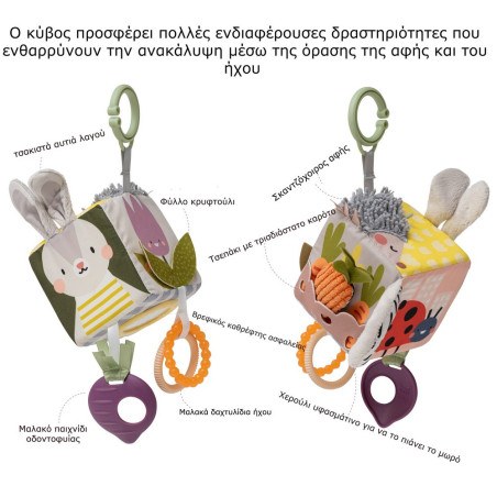 Κύβος Δραστηριοτήτων Taf Toys Urban Garden Activity Cube T-13095