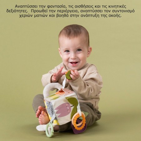 Κύβος Δραστηριοτήτων Taf Toys Urban Garden Activity Cube T-13095