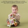 Κύβος Δραστηριοτήτων Taf Toys Urban Garden Activity Cube T-13095