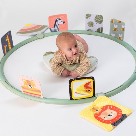 Κέντρο Δραστηριοτήτων Taf Toys Tummy Time Trainer T-12945