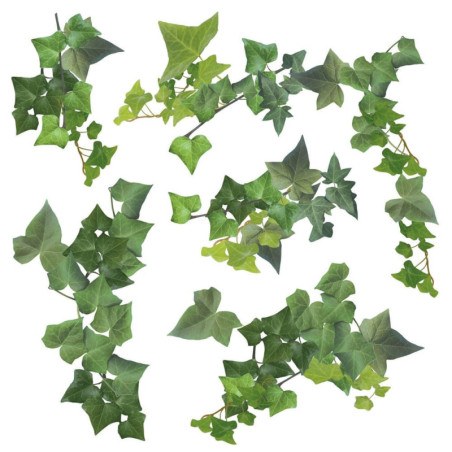 Αυτοκόλλητα Τοίχου Ango Ivy 54152