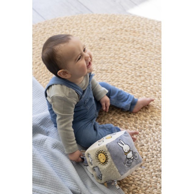 Κύβος Δραστηριοτήτων Miffy Fluffy Μέντα