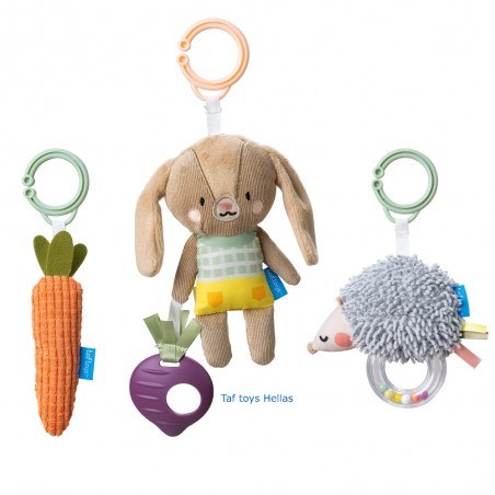 Σετ Κρεμαστά Παιχνίδια Δραστηριοτήτων Taf Toys Activity Toys Kit T-13225