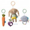 Σετ Κρεμαστά Παιχνίδια Δραστηριοτήτων Taf Toys Activity Toys Kit T-13225