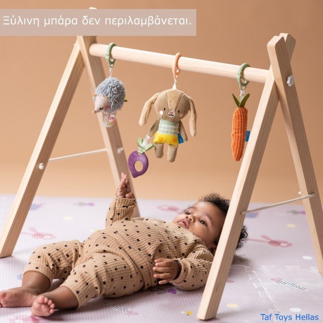 Σετ Κρεμαστά Παιχνίδια Δραστηριοτήτων Taf Toys...