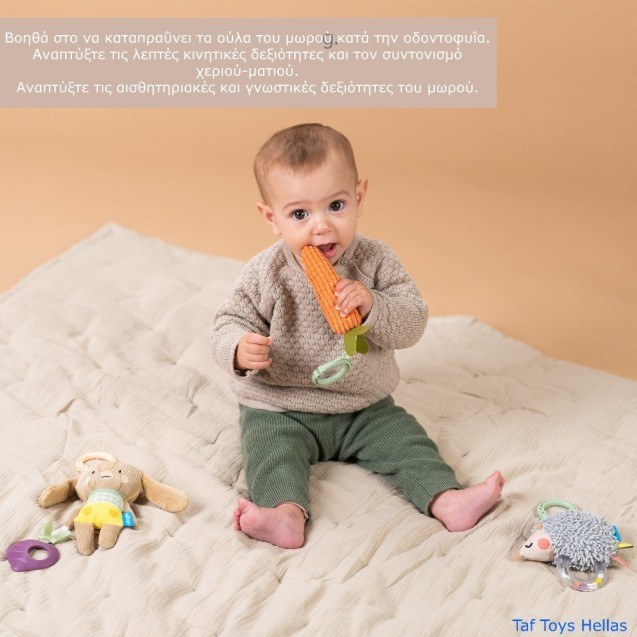 Σετ Κρεμαστά Παιχνίδια Δραστηριοτήτων Taf Toys...