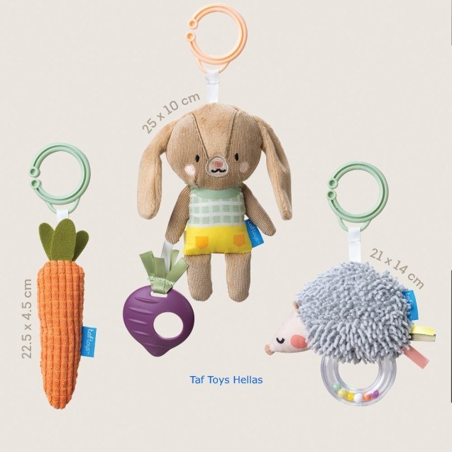 Σετ Κρεμαστά Παιχνίδια Δραστηριοτήτων Taf Toys...