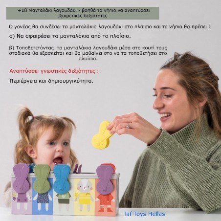 Εκπαιδευτικό Παιχνίδι Δραστηριοτήτων Taf Toys Bunny School Match & Count T-13215