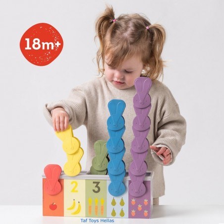 Εκπαιδευτικό Παιχνίδι Δραστηριοτήτων Taf Toys Bunny School Match & Count T-13215