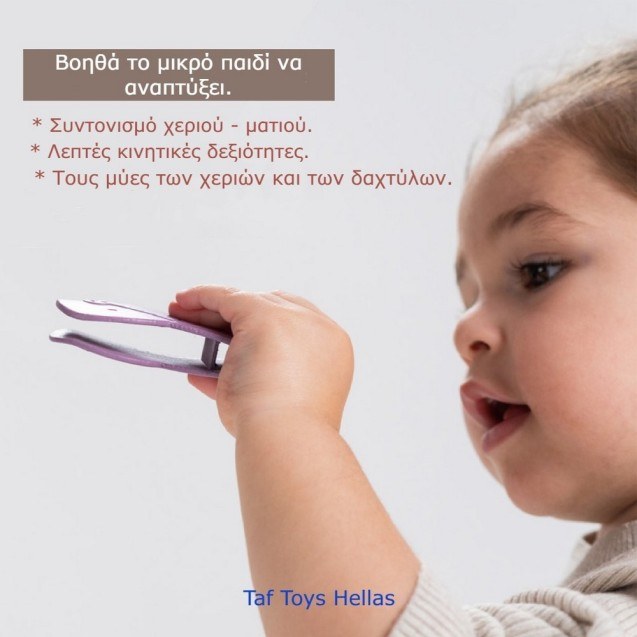 Εκπαιδευτικό Παιχνίδι Δραστηριοτήτων Taf Toys...
