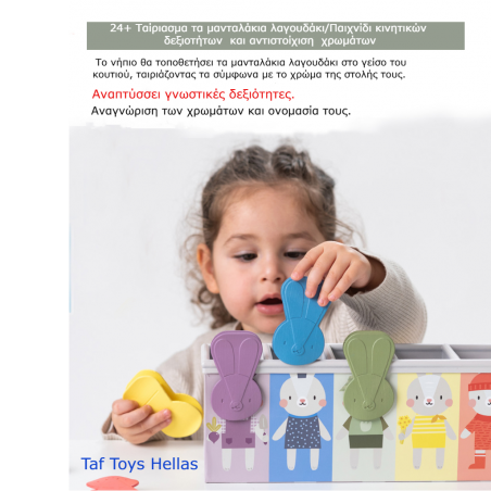 Εκπαιδευτικό Παιχνίδι Δραστηριοτήτων Taf Toys Bunny School Match & Count T-13215