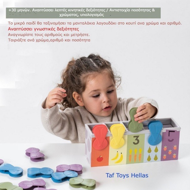 Εκπαιδευτικό Παιχνίδι Δραστηριοτήτων Taf Toys...