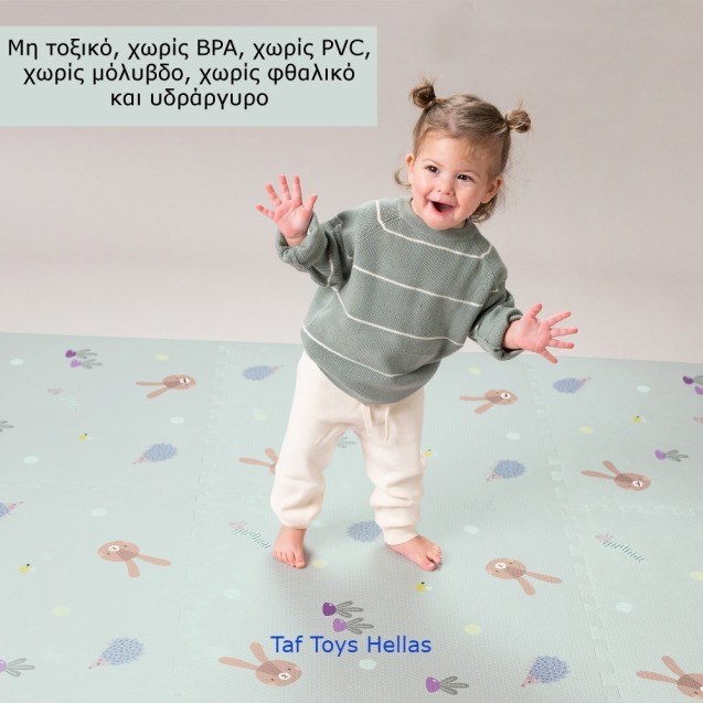 Χαλάκι Δραστηριοτήτων Taf Toys Urban Garden XL...