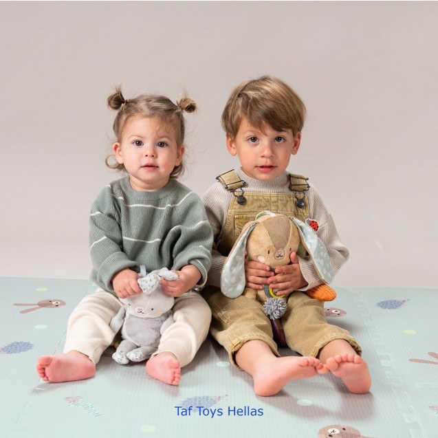 Χαλάκι Δραστηριοτήτων Taf Toys Urban Garden XL...