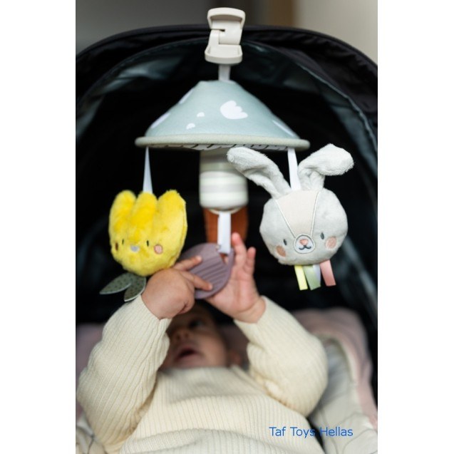 Κρεμαστό Παιχνίδι Δραστηριοτήτων Taf Toys...