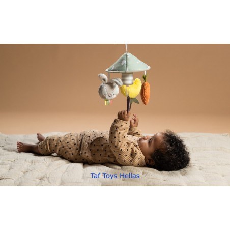 Κρεμαστό Παιχνίδι Δραστηριοτήτων Taf Toys Garden Pram Mobile T-13195