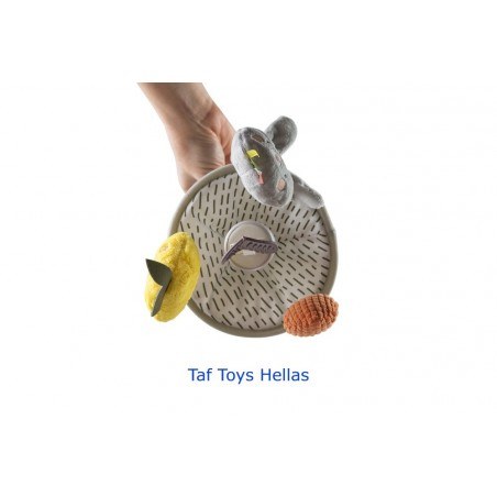 Κρεμαστό Παιχνίδι Δραστηριοτήτων Taf Toys Garden Pram Mobile T-13195