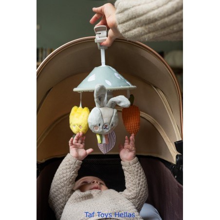 Κρεμαστό Παιχνίδι Δραστηριοτήτων Taf Toys Garden Pram Mobile T-13195