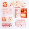 Δοχείο Φαγητού A Little Lovely Company Bento Ice-Cream SBICPI56