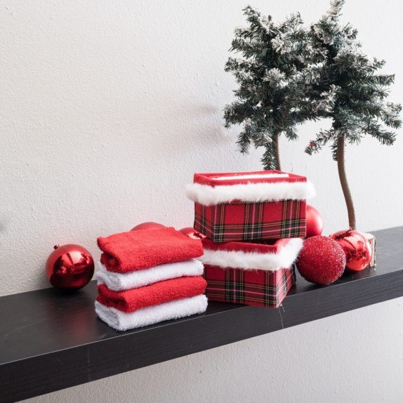 Σετ Κουτί Μπάνιου με 4 Λαβέτες Teoran Box 4010