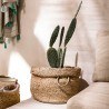 Καλάθι Gofis Home Combo 121 33x35