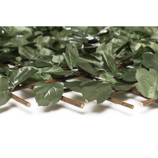 Πτυσσόμενη Πέργκολα Orlando 100 Χ 200 Mz186002b...