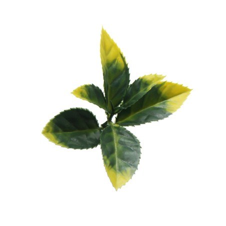 Πάνελ Φυλλωσιάς Berlin 50 Χ 50 A017 Photinia Newplan