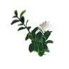 Πάνελ Φυλλωσιάς Porto 50 Χ 50 A040 Gentle Jungle Newplan