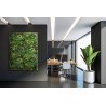 Κάθετος Κήπος  Paris 100 Χ 100 A074 Meadow Newplan
