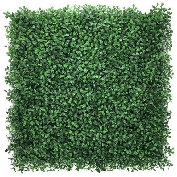 Πάνελ Φυλλωσιάς Berlin 50 Χ 50 A146 Boxwood Newplan
