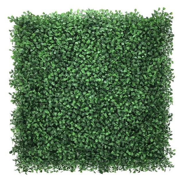 Πάνελ Φυλλωσιάς Berlin 50 Χ 50 A146 Boxwood...