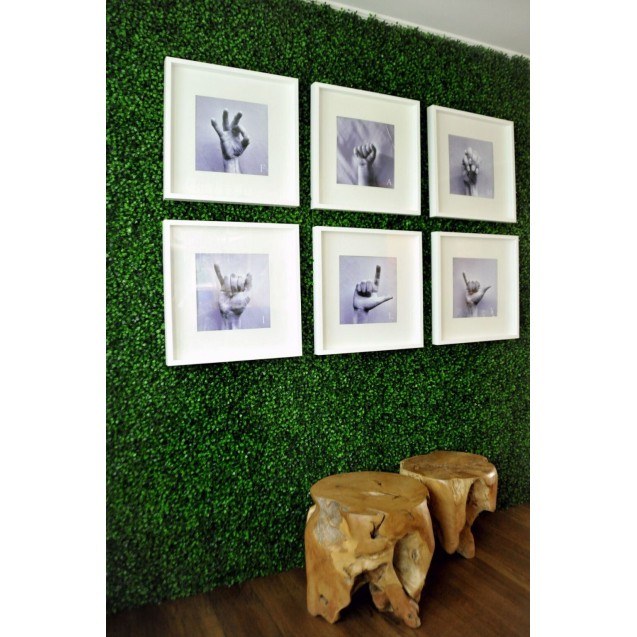 Πάνελ Φυλλωσιάς Berlin 50 Χ 50 A146 Boxwood...