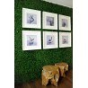 Πάνελ Φυλλωσιάς Berlin 50 Χ 50 A146 Boxwood Newplan