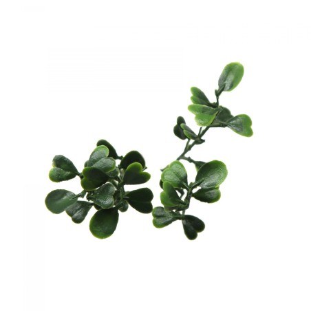 Πάνελ Φυλλωσιάς Berlin 50 Χ 50 A199 Eucalyptus Newplan