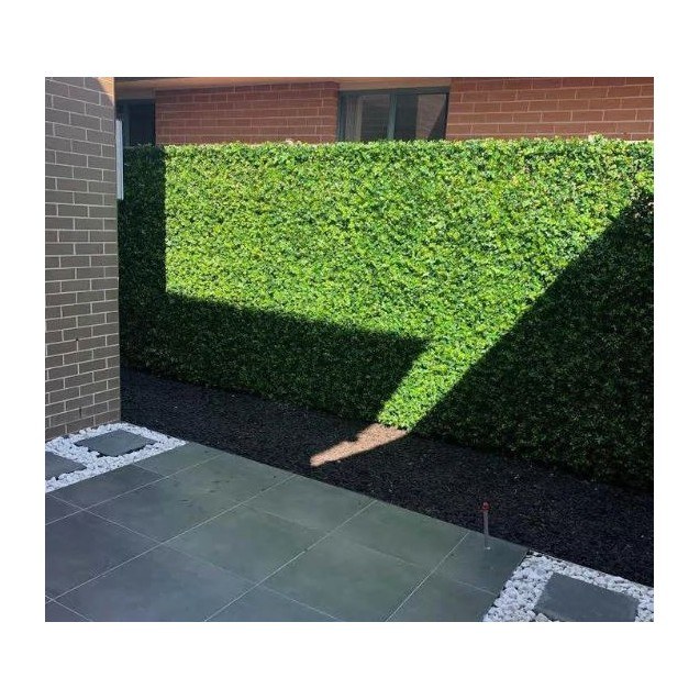 Πάνελ Φυλλωσιάς Bilbao 50 Χ 50 F028 Summer...